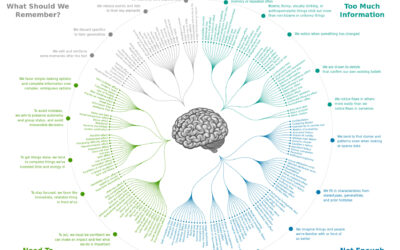 Cartographier les Biais Cognitifs de l’IA en utilisant les Travaux de John Manoogian III et Buster Benson